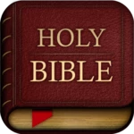 good news bible translation android application logo